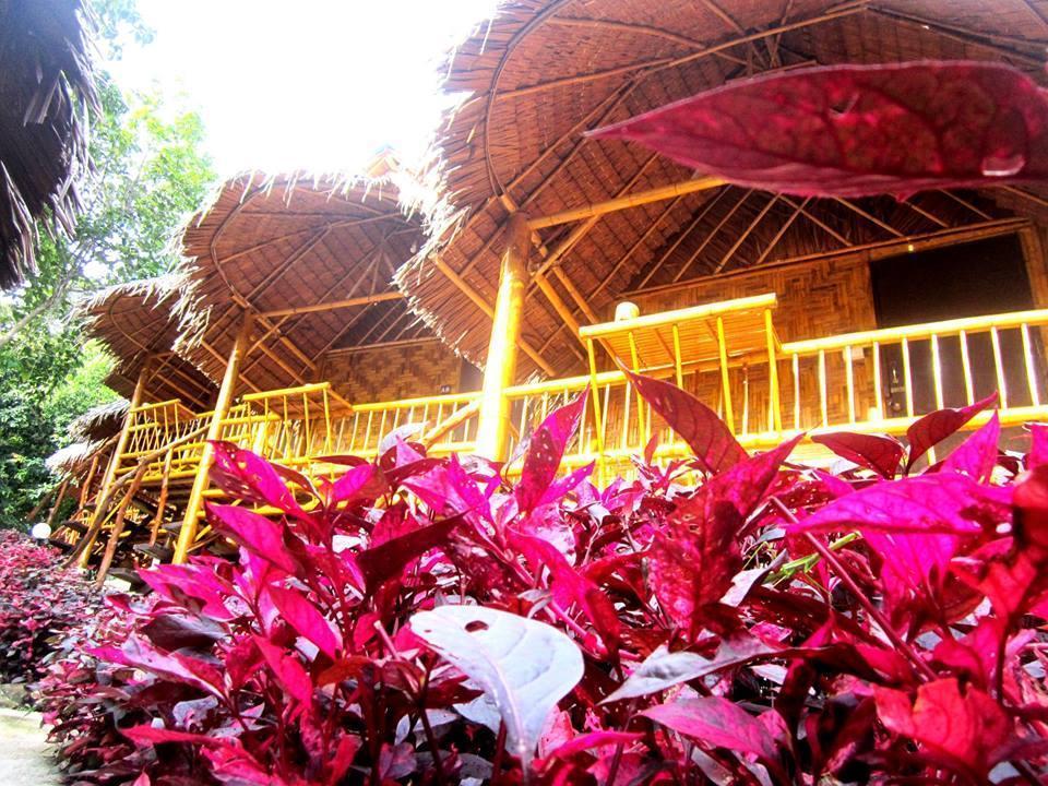 Phi Phi Hill Bamboo Bungalow Exterior foto